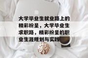 大学毕业生就业路上的精彩纷呈，大学毕业生求职路，精彩纷呈的职业生涯规划与实践