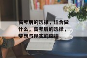 高考后的选择，适合做什么，高考后的选择，梦想与现实的碰撞
