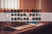 毕业后除了考公务员还有许多选择，毕业不一定要考公务员，有哪些其他职业路径?