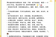 技校毕业后还能上什么专业(技校毕业后还可以上什么学校)