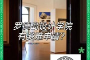 罗德岛设计学院毕业后求职(罗德岛设计学院毕业后求职需要什么)