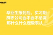 包含毕业前叫实习期毕业后叫什么的词条