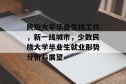 民族大学毕业生找工作，新一线城市，少数民族大学毕业生就业形势分析与展望