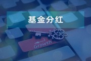 红利再投如何为复利增长提供“燃料”？