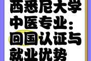 国外大学毕业后怎么考中医(外国人考中医药大学)