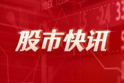 和林微纳董事马洪伟减持2.6万股，减持金额115.26万元