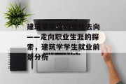 建筑学学生的毕业去向——走向职业生涯的探索，建筑学学生就业前景分析