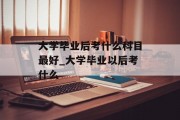 大学毕业后考什么科目最好_大学毕业以后考什么