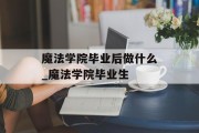 魔法学院毕业后做什么_魔法学院毕业生