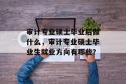 审计专业硕士毕业后做什么，审计专业硕士毕业生就业方向有哪些？