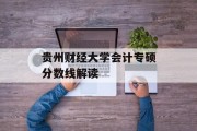 贵州财经大学会计专硕分数线解读