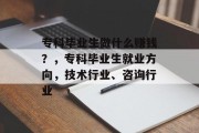 专科毕业生做什么赚钱？，专科毕业生就业方向，技术行业、咨询行业