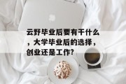 云野毕业后要有干什么，大学毕业后的选择，创业还是工作?