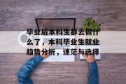毕业后本科生都去做什么了，本科毕业生就业趋势分析，迷茫与选择