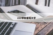 211学校是啥大学