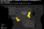 症状类似流感的“X疾病”快速传播 世卫组织向刚果派出工作组协助调查
