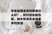 毕业后想去农村做些什么好？，农村创业新选择，回乡投资农业或者乡村旅游