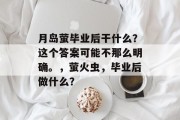 月岛萤毕业后干什么？这个答案可能不那么明确。，萤火虫，毕业后做什么？