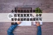 小学毕业后在家做什么，在家自食其力，小学生毕业后的自我提升与挑战
