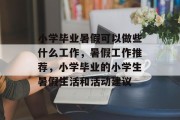 小学毕业暑假可以做些什么工作，暑假工作推荐，小学毕业的小学生暑假生活和活动建议