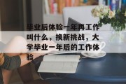 毕业后体验一年再工作叫什么，换新挑战，大学毕业一年后的工作体验