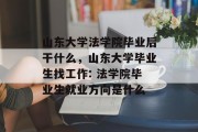 山东大学法学院毕业后干什么，山东大学毕业生找工作: 法学院毕业生就业方向是什么