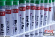 美疾控中心：感染人类的禽流感病毒出现基因突变
