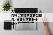 大学毕业当兵后是什么兵种，军转干部转型新兵: 当兵为何兵种多样化?