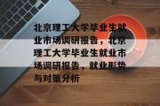 北京理工大学毕业生就业市场调研报告，北京理工大学毕业生就业市场调研报告，就业形势与对策分析