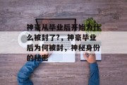 神豪从毕业后开始为什么被封了?，神豪毕业后为何被封，神秘身份的秘密