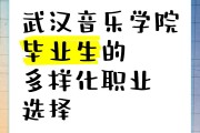 武汉音乐学院毕业后干什么(武汉音乐学院毕业后干什么工作)