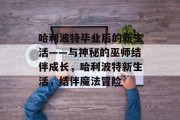 哈利波特毕业后的新生活——与神秘的巫师结伴成长，哈利波特新生活，结伴魔法冒险