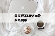 武汉理工MPAcc分数线解读