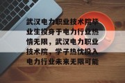 武汉电力职业技术院毕业生投身于电力行业热情无限，武汉电力职业技术院，学子热忱投入电力行业未来无限可能