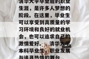 清华大学毕业后的职业生涯，是许多人梦想的阶段。在这里，毕业生可以享受到高质量的学习环境和良好的就业机会，也可以追求自己的激情爱好。，清华大学本科毕业生，职业发展与追寻热情的舞台
