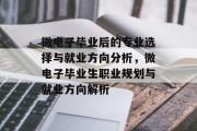 微电子毕业后的专业选择与就业方向分析，微电子毕业生职业规划与就业方向解析