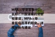 MPAcc毕业后做什么好？一份详细的分析和建议，MPAcc毕业后应选择的职业，详细分析与建议
