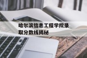 哈尔滨信息工程学院录取分数线揭秘