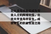 北大青鸟毕业后成为专业人士的辉煌旅程，北京大学青鸟毕业生，成就非凡的职业生涯之路