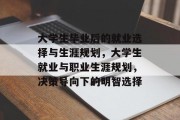 大学生毕业后的就业选择与生涯规划，大学生就业与职业生涯规划，决策导向下的明智选择