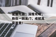 官居几品，深度攻略，助你一跃龙门，成就高官显贵！