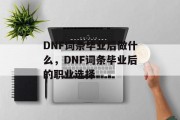 DNF词条毕业后做什么，DNF词条毕业后的职业选择