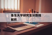 鲁东大学研究生分数线解析