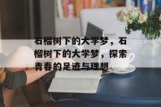 石榴树下的大学梦，石榴树下的大学梦，探索青春的足迹与理想