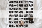 留学生毕业后找工作似乎是一个既神秘又充满挑战的问题。但是，面对这样的问题，我们应该如何找到合适的岗位呢？这是一个值得深入探讨的话题，留学生就业难，秘籍与对策