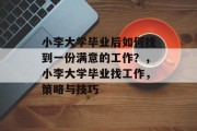 小李大学毕业后如何找到一份满意的工作？，小李大学毕业找工作，策略与技巧