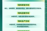 大学毕业后需要什么素质(大学毕业后需要什么素质和能力)