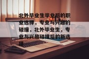 北外毕业生毕业后的职业选择，专业与兴趣的碰撞，北外毕业生，专业与兴趣碰撞后的新选择
