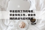 毕业后找工作的难度，毕业生找工作，就业市场的挑战与应对策略