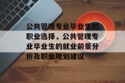 公共管理专业毕业生的职业选择，公共管理专业毕业生的就业前景分析及职业规划建议